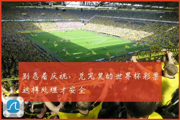 别急着庆祝，兑完奖的世界杯彩票这样处理才安全